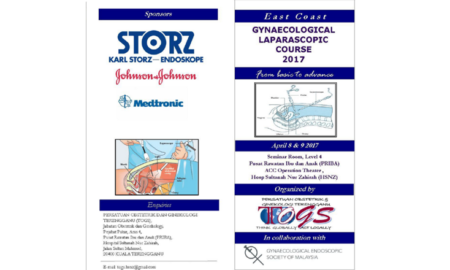 Gynaecological Laparoscopic Course 2017