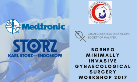 Borneo Minimally Invasive Gynaecological Surgery Workshop 2017