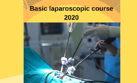 Basic Laparoscopic Course 2020