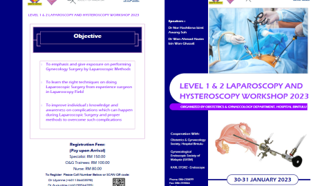 Level 1 & 2 Laparoscopy and Hysteroscopy Workshop 2023